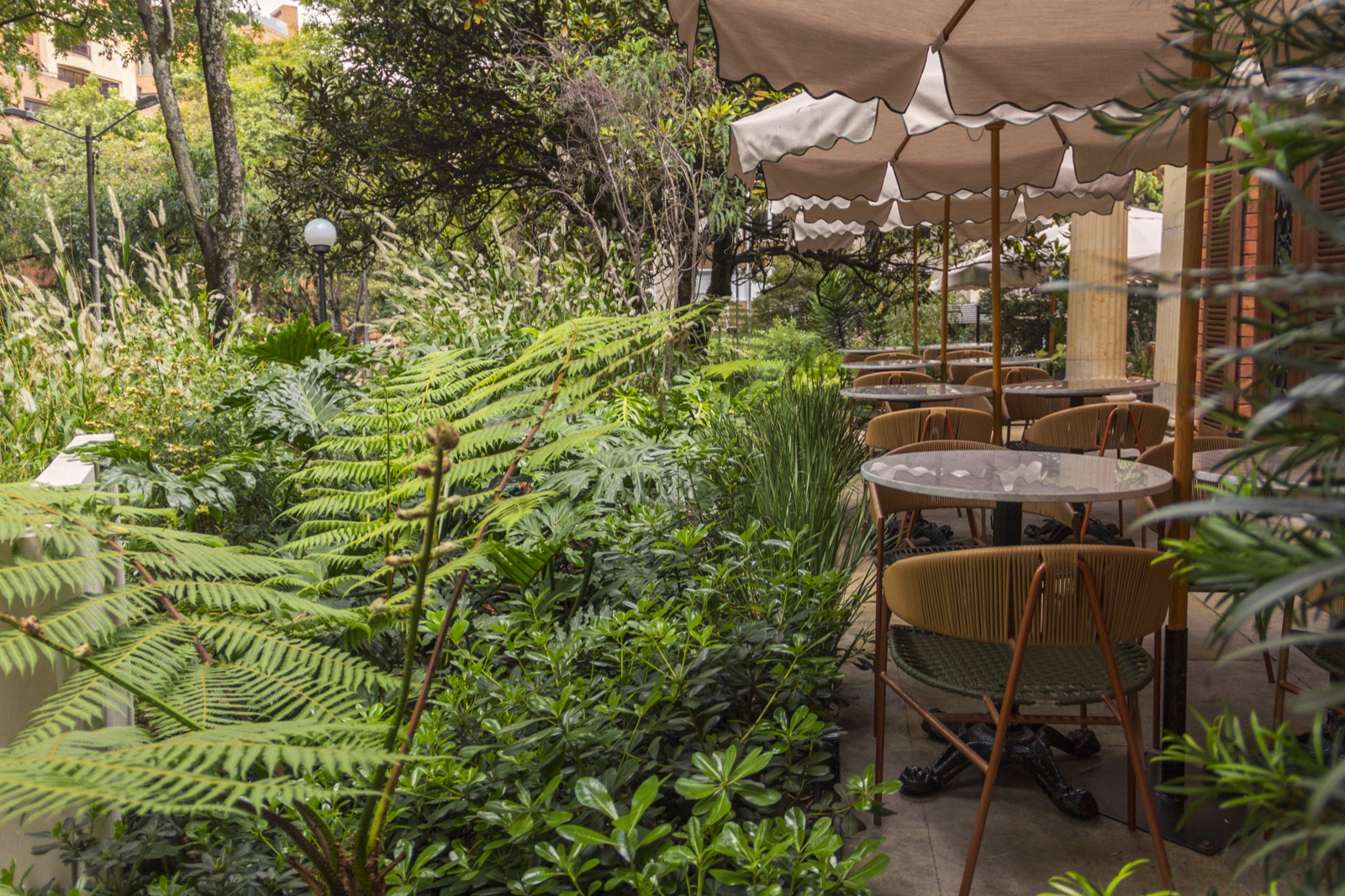 El jardín de Casa República — bajo mantenimiento, alta presencia.