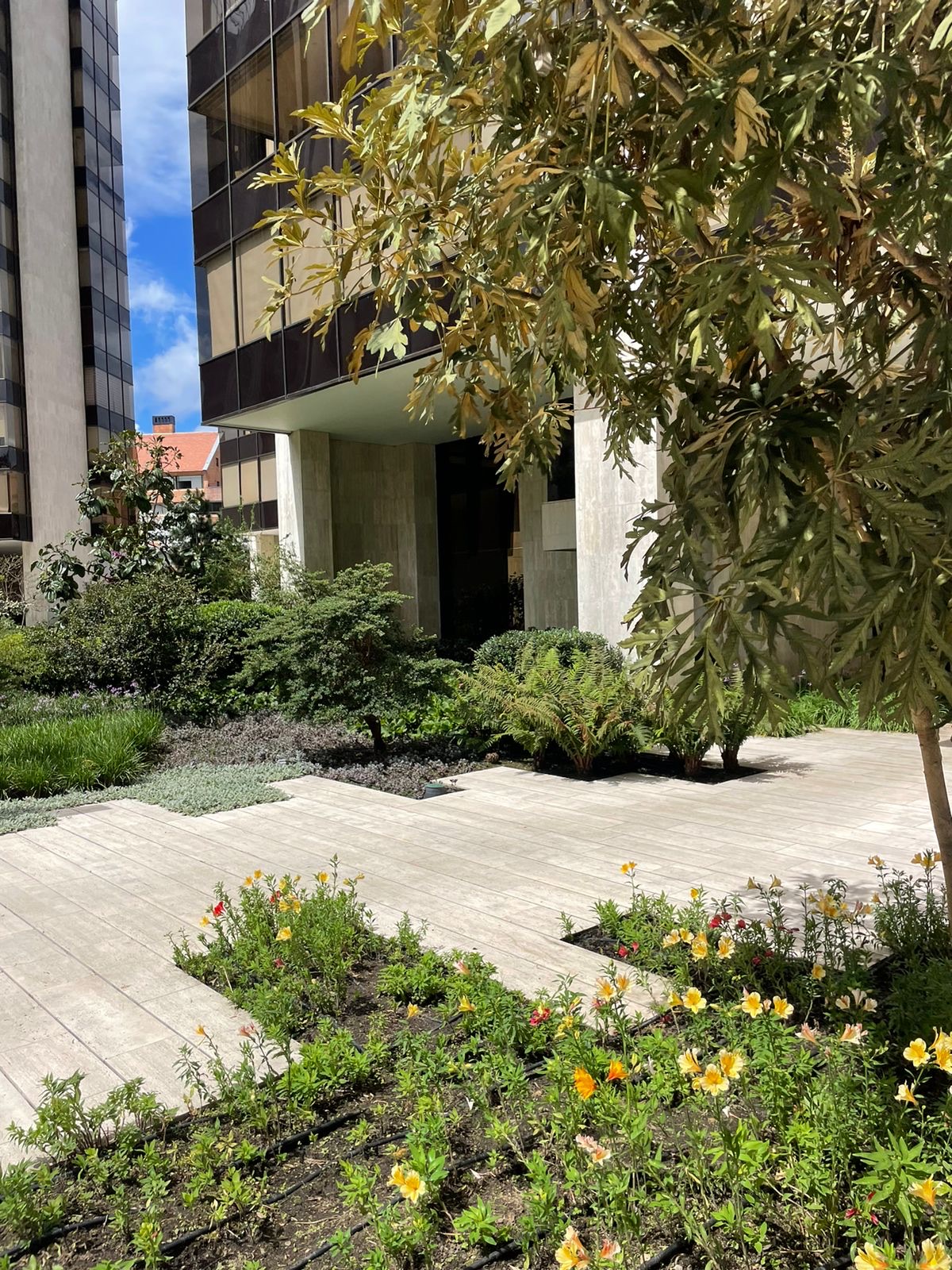 Parque Central