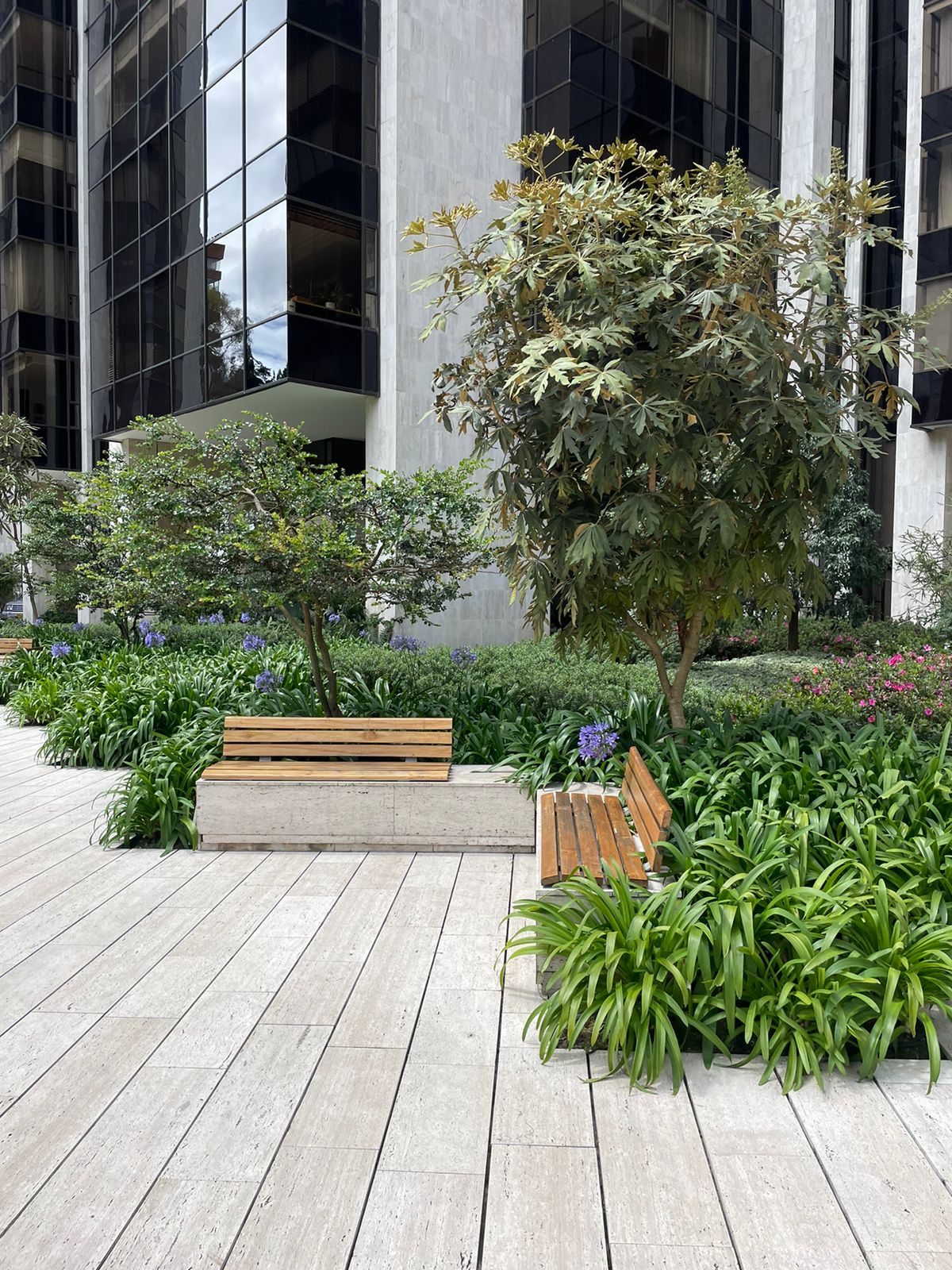 Parque Central