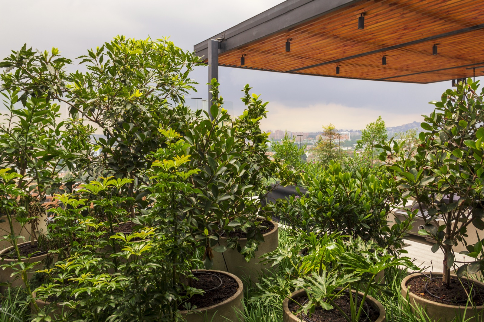 Terraza Apto 2010