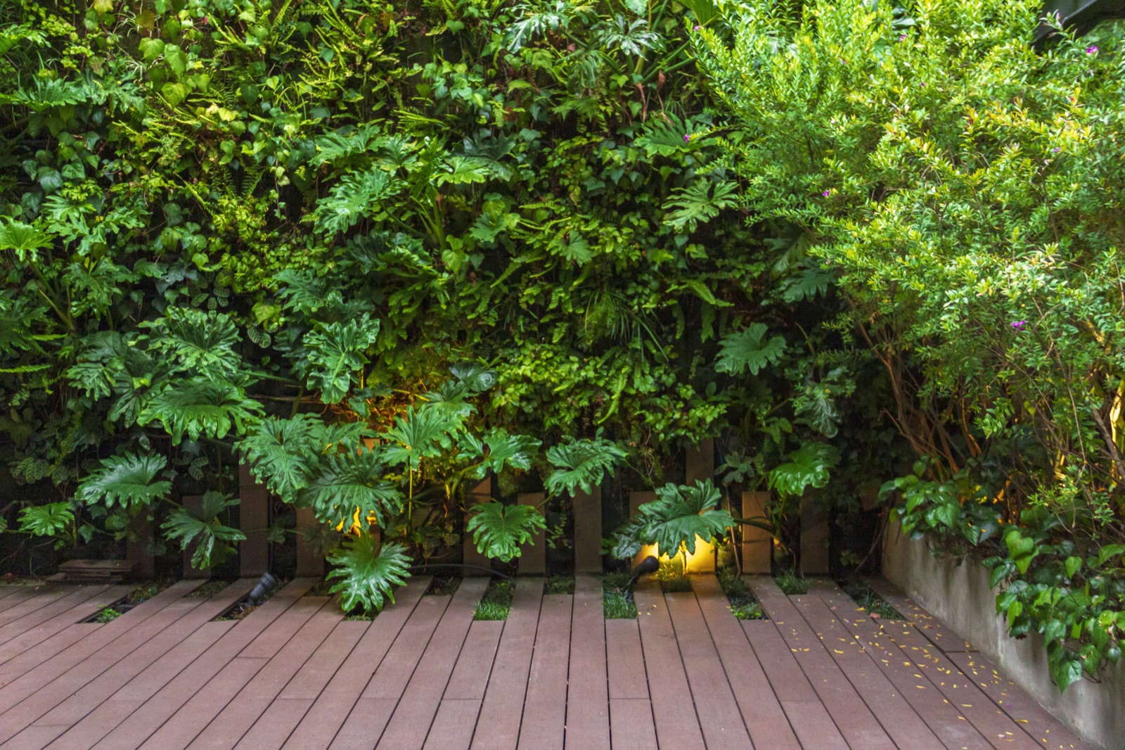 Terraza Apto Chicó — paisajismo de Arbóreo