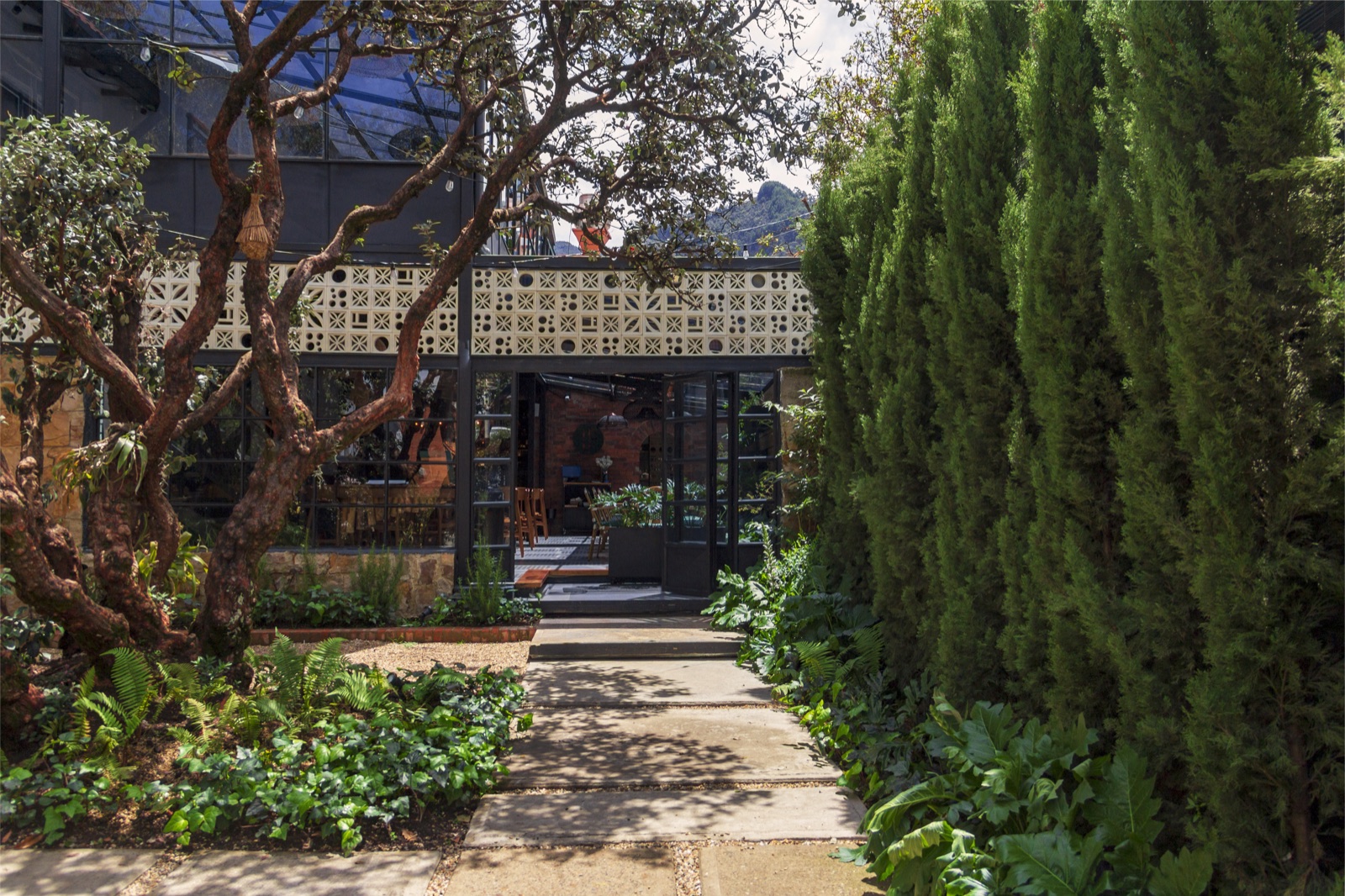 Restaurante Tragaluz — paisajismo de Arbóreo
