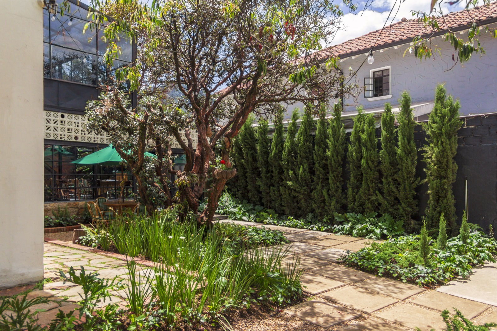 Restaurante Tragaluz